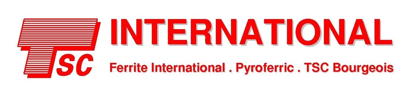 Logo for TSC INTERNATIONAL