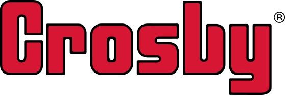 Logo for THE CROSBY GROUP INC