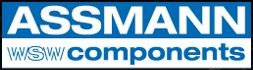  ASSMANN ELECTRONICS INC