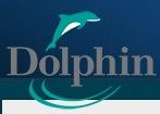 Logo for DOLPHIN INTERCONNECT SOLUTIONS ASA