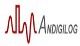 Logo for ANDIGILOG
