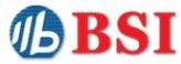 Logo for BRILLIANCE SEMICONDUCTOR INC