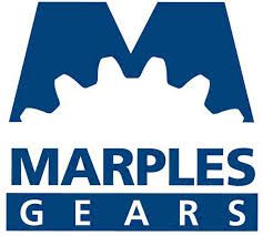 Logo for MARPLES