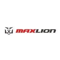 Logo for MAX-LION CORP