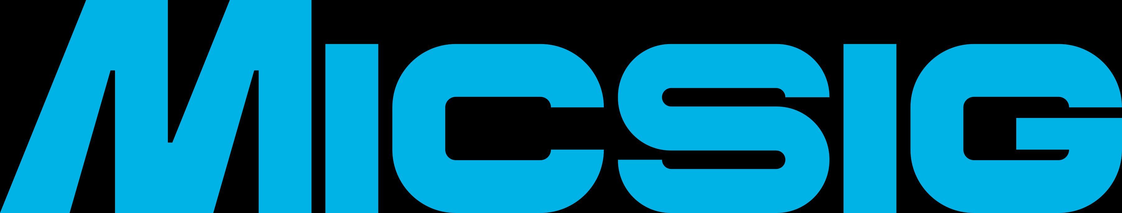Logo for MICSIG INSTRUMENTS