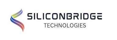 Logo for SILICON BRIDGE INC