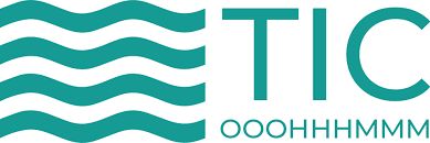 Logo for TIC SEMICONDUCTOR