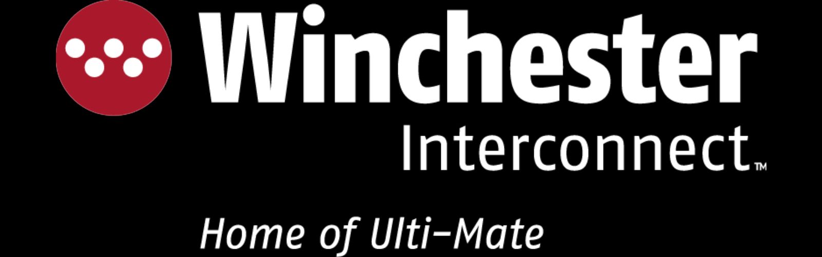 Logo for WINCHESTER INTERCONNECT MICRO